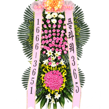 뺸