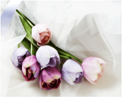 크리스마스이벤트2015